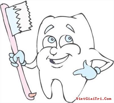 Tản mạn về hàm răng - 2