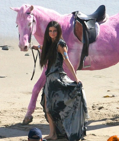 Pink chỉ trích “đàn em” Selena Gomez - 2 Pink chỉ trích “đàn em” Selena Gomez - 2
