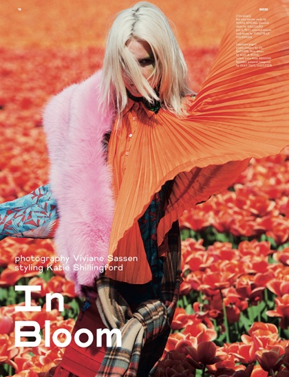 Người đẹp giữa rừng hoa - 3 Người đẹp giữa rừng hoa - 3