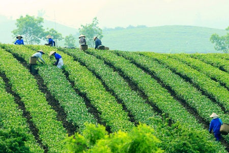 Khai mạc lễ hội du lịch “Qua miền Tây Bắc” - 1 Khai mạc lễ hội du lịch “Qua miền Tây Bắc” - 1
