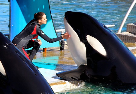 Vòng quanh thế giới giải trí ngày 9/10 - 10