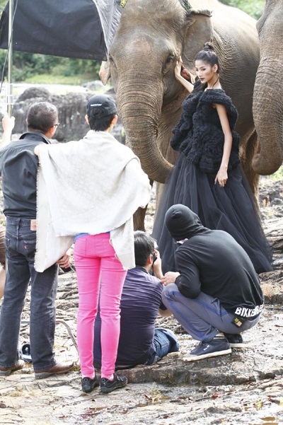 6 chân dài Vietnam’s Next Top Model chụp hình cùng voi - 4 6 chân dài Vietnam’s Next Top Model chụp hình cùng voi - 4