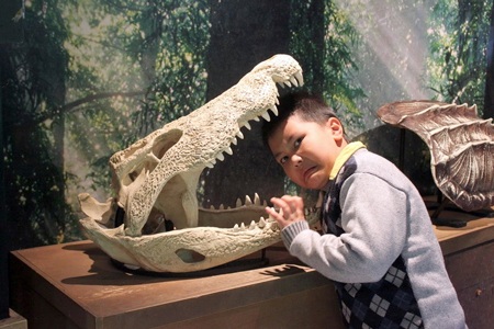 Hình ảnh đẹp của Quán quân Đồ Rê Mí tại Úc - 21 Hình ảnh đẹp của Quán quân Đồ Rê Mí tại Úc - 21