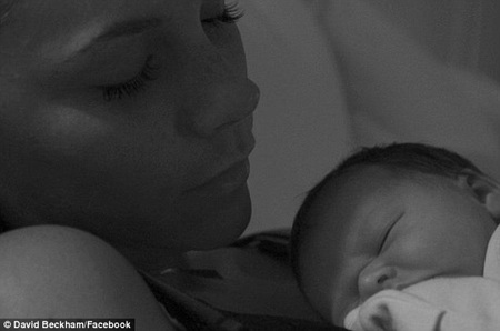 Victoria Beckham khoe ảnh con gái - 2