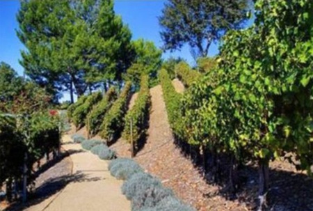 Ngắm biệt thự đắt giá của Jennifer Aniston  - 6