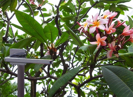 Khi tay nắm cửa không dùng để mở cửa - 6 Khi tay nắm cửa không dùng để mở cửa