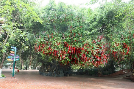 Đến Suối Tiên cầu duyên với Cây tình yêu - 1 Đến Suối Tiên cầu duyên với Cây tình yêu
