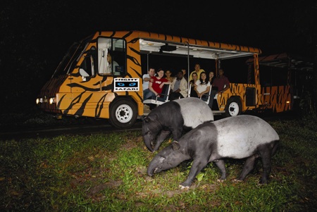 Vườn thú đêm Night Safari