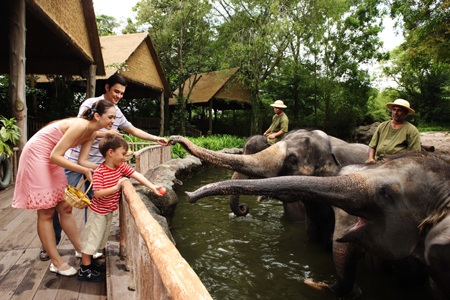 Điều tuyệt vời ở Singapore - 19 Vườn thú Singapore, điểm đến thú vị của các gia đình vào dịp cuối tuần.