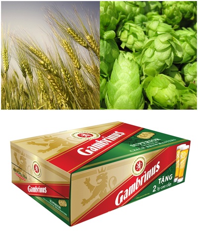 Nâng ly đón lễ cùng Gambrinus - 1 Đại mạch Tiệp và hoa Bia – hai thành phần chính tạo nên hương vị tuyệt hảo của bia Tiệp Gambrinus