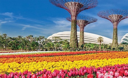 Kỳ nghỉ náo nhiệt tại Singapore - 1 Kỳ nghỉ náo nhiệt tại Singapore