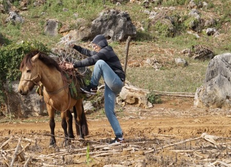 Karik cưỡi ngựa, đốn củi - 4 Karik cưỡi ngựa, đốn củi