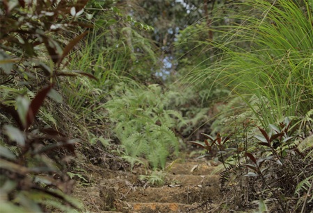 Bà Nà - những ngày đầu tiên