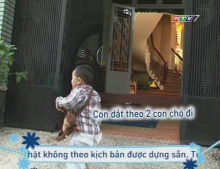 Voi, hổ xuất hiện trong “Con đã lớn khôn” - 1 Lần đầu tiên nhận nhiệm vụ từ mẹ, Bin nhất quyết dắt 2 chú chó theo làm bạn