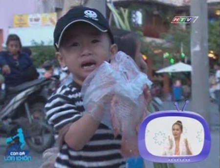 Voi, hổ xuất hiện trong “Con đã lớn khôn” - 3 Nhờ có chú cá diêu hồng này mà Tin đã trở thành “anh hùng”