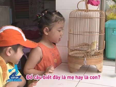 Voi, hổ xuất hiện trong “Con đã lớn khôn” - 5 Gà con cũng đã từng xuất hiện trong Con Đã Lớn Khôn