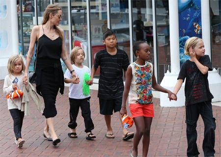 Angelina Jolie đưa Pax Thiên vãn cảnh Sydney - 7 VN