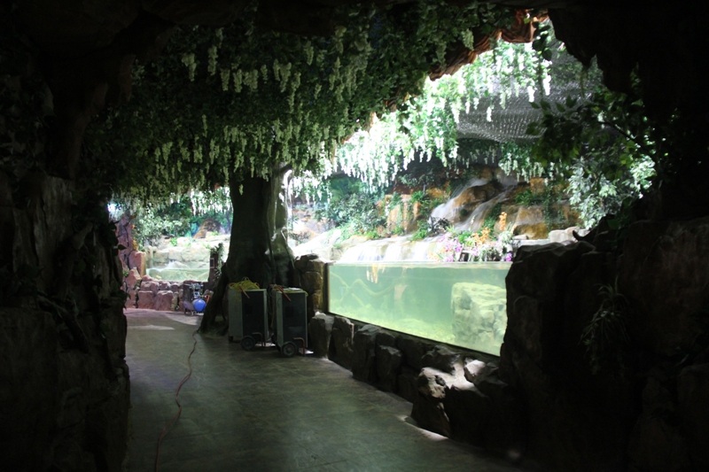 Thủy cung có một bể “Touch tank” - bể chạm tay để các em