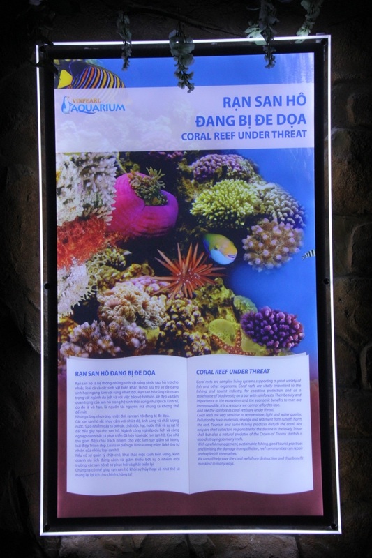 Thủy cung có một bể “Touch tank” - bể chạm tay để các em