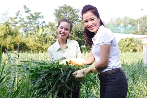 Niềm vui của song Hương khi tự tay cắt cỏ cho bò ăn