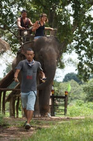 Voi bản Đôn xuất hiện trong bạn đường hợp ý