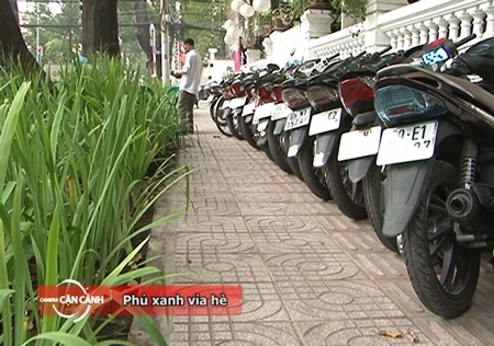 Phủ xanh lại những vỉa hè xuống cấp - 1 Phủ xanh lại những vỉa hè xuống cấp
