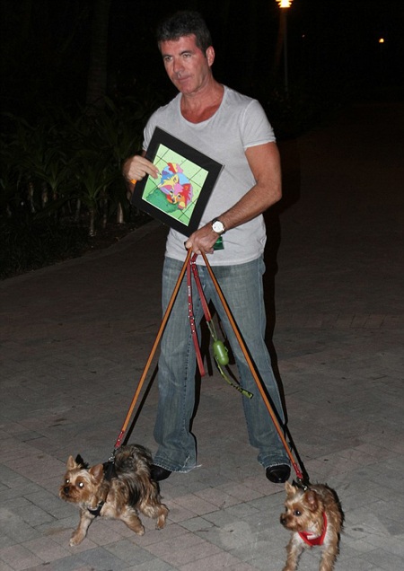 Simon Cowell hạnh phúc khi được làm cha - 7 VN