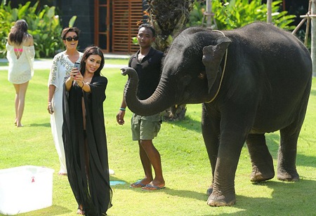 Kim bỏ chạy vì bị voi…. chọc ghẹo - 1 VN