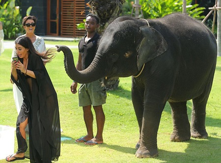 Kim bỏ chạy vì bị voi…. chọc ghẹo - 2 VN