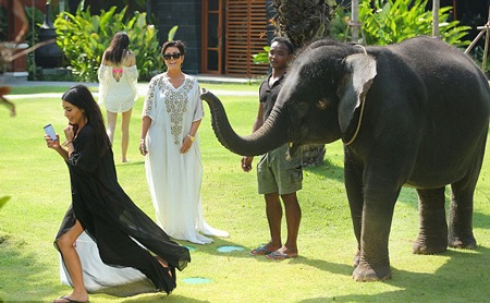 Kim bỏ chạy vì bị voi…. chọc ghẹo - 3 VN