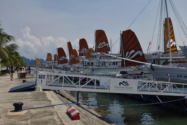 Paradise Cruises có cầu cảng riêng, đảm bảo sự thuận tiện và an toàn cho du khách