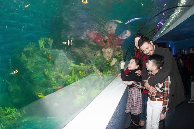 Đặc biệt lần đầu tiên tại Việt