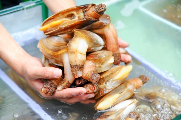 Khám phá “Thế Giới Hải Sản” giữa lòng thủ đô - 1 Tu hài Quảng Ninh