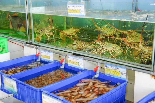 Khám phá “Thế Giới Hải Sản” giữa lòng thủ đô - 2 Không gian siêu thị với nhiều mặt hàng phong phú. Cảm nhận trải nghiệm “thượng đế” đích thực
