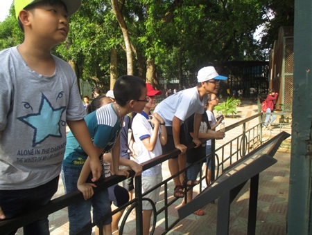 Thí sinh Chinh phục vui chơi trong giờ ngoại khóa - 7 Các bạn nhỏ cực kỳ thích thú khi tham quan vườn Bách thú tại Hà Nội