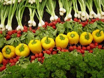 Rau quả tồn kho tăng cao đột biến - 1 Rau quả tồn kho tăng cao đột biến - 1