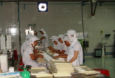 Bài toán thiếu nguyên liệu thủy sản và Coimex   