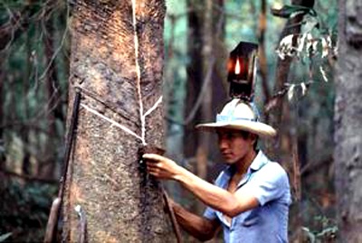 Chứng khoán Cao Su: Tỷ lệ an toàn vốn khả dụng âm! - 1 (Ảnh minh họa)