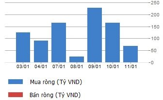 Cầu ngoại đổ dồn vào blue chip, dẫn dắt thị trường tăng mạnh đầu năm.