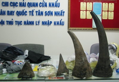 Mặc dù đã có nhiều khuyến cáo song hoạt động buôn lậu sừng tê từ châu Phi vẫn không thuyên giảm.