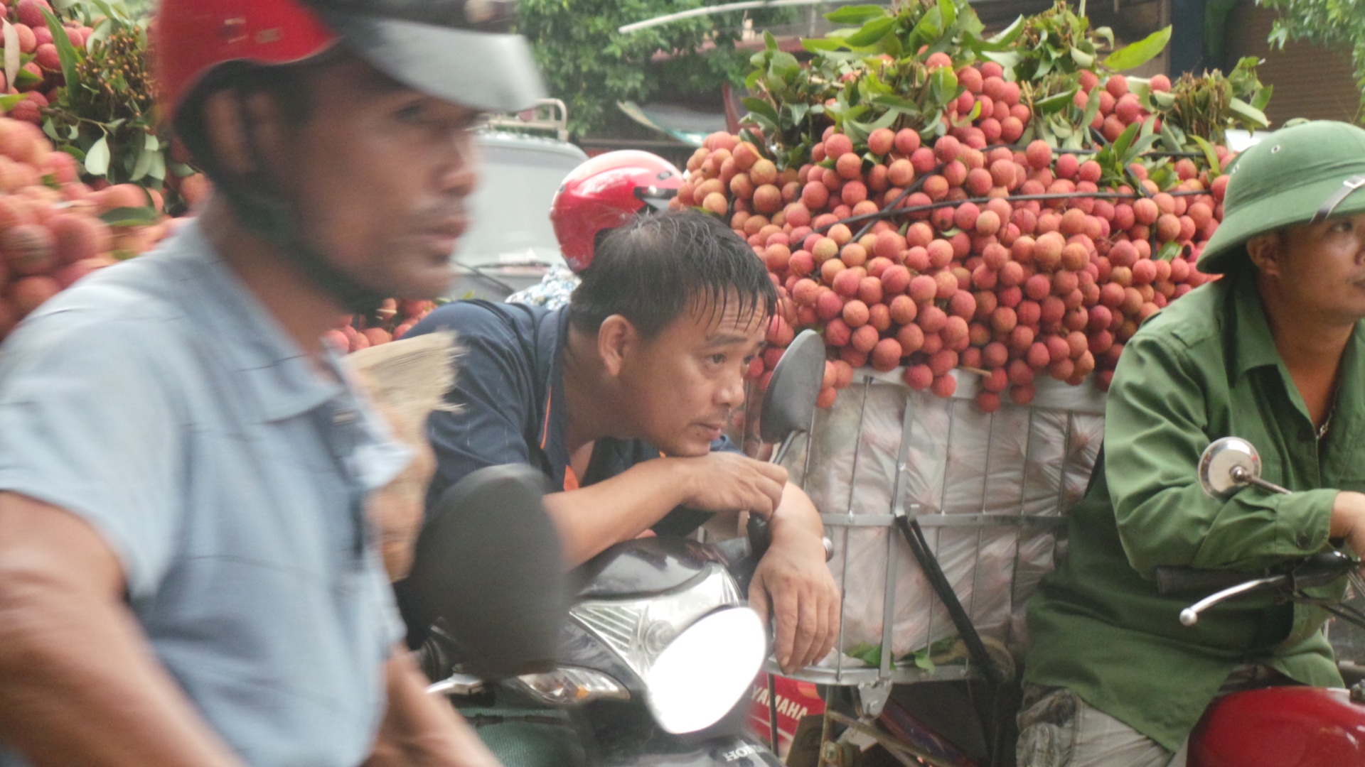 Hàng nghìn người dân xếp hàng dưới mưa chờ cân vải thiều