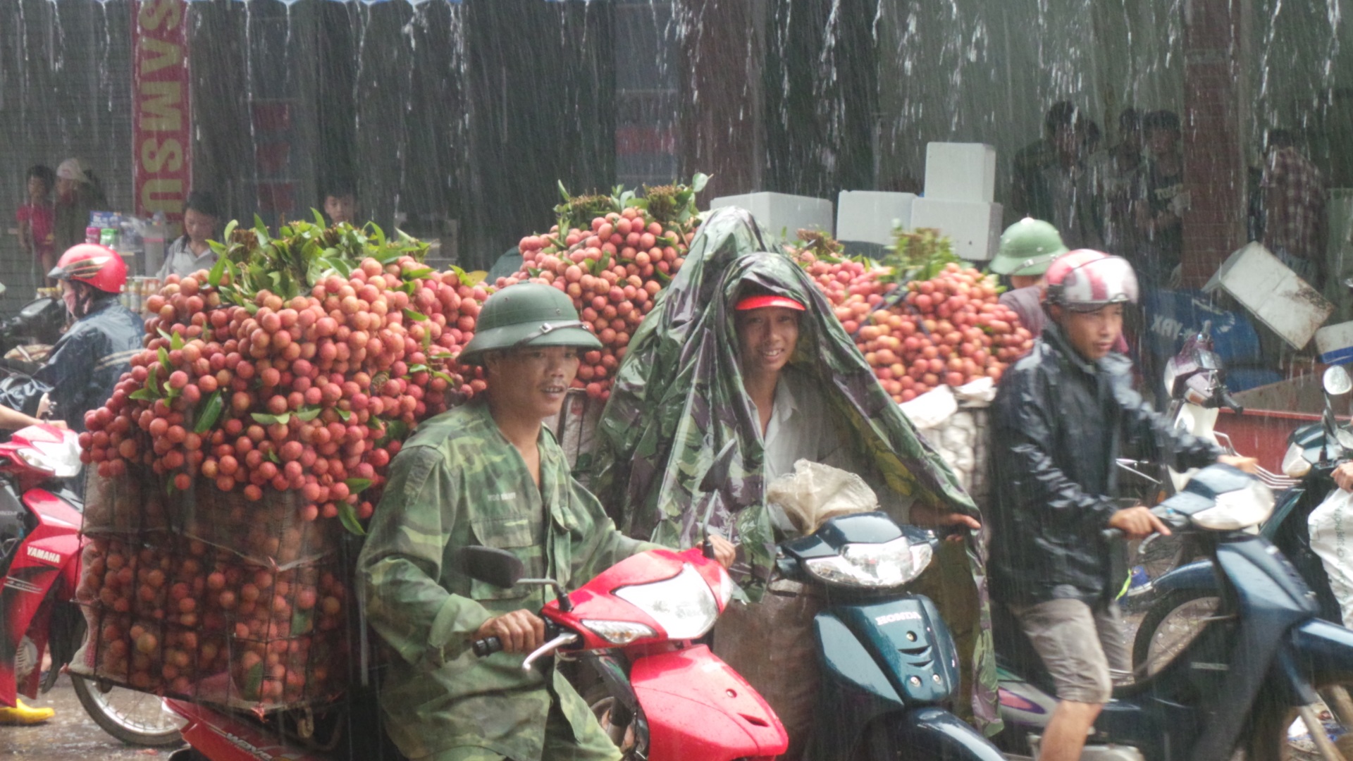 Hàng nghìn người dân xếp hàng dưới mưa chờ cân vải thiều