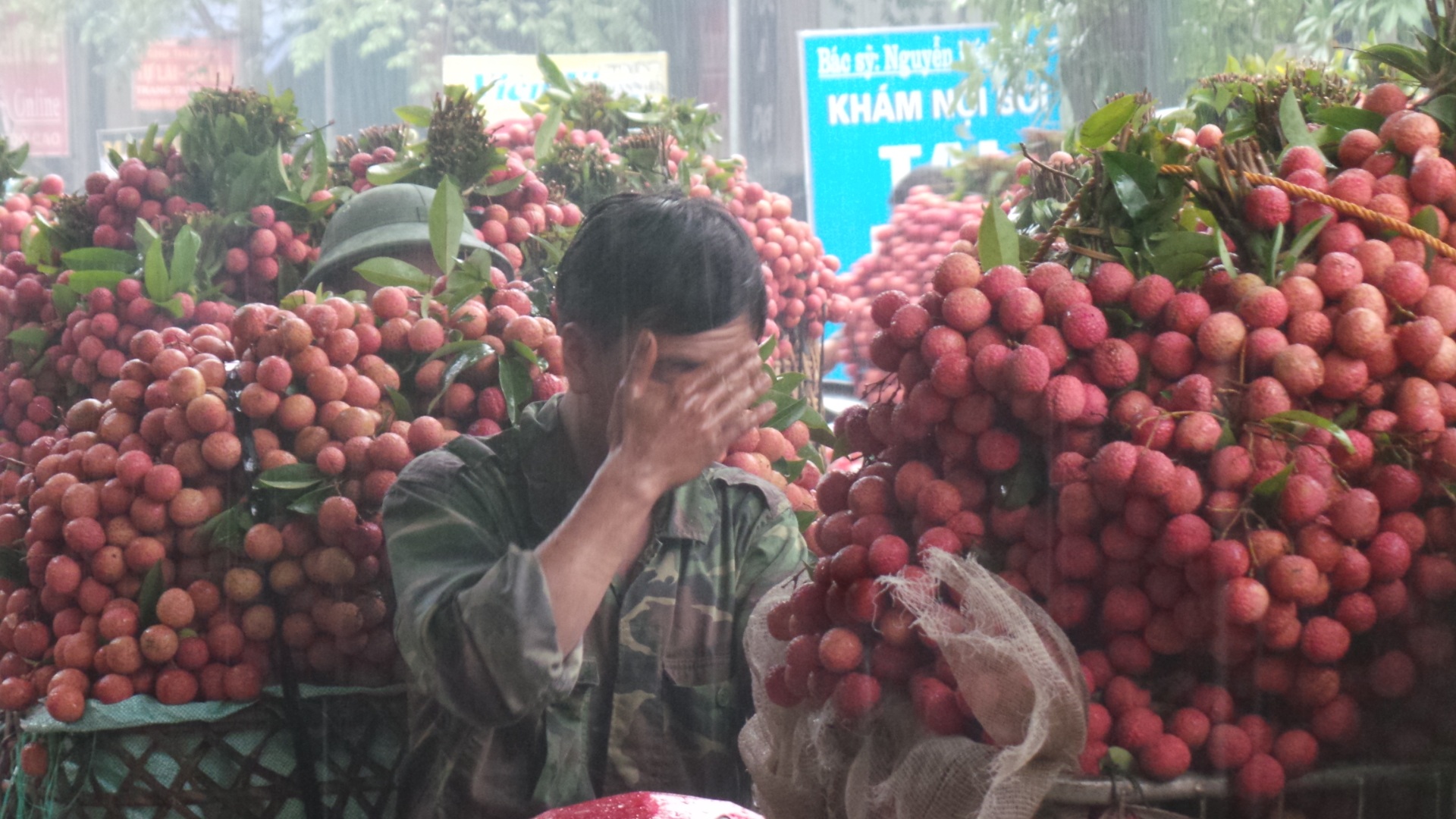 Hàng nghìn người dân xếp hàng dưới mưa chờ cân vải thiều