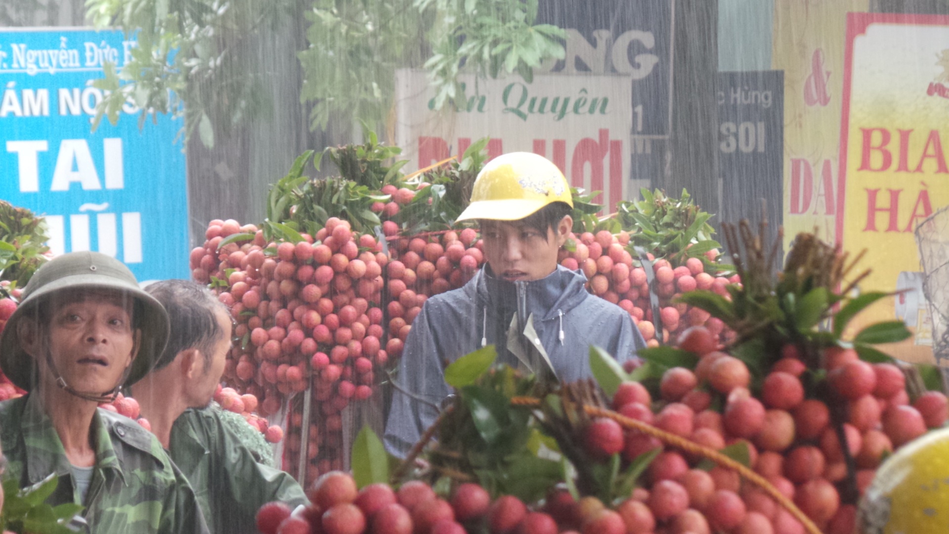 Hàng nghìn người dân xếp hàng dưới mưa chờ cân vải thiều