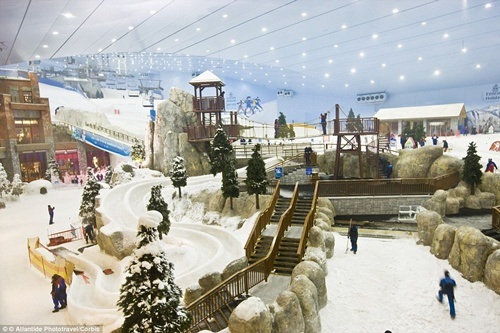 Ngỡ ngàng ngắm cá mập, đi thuyền trong... trung tâm mua sắm