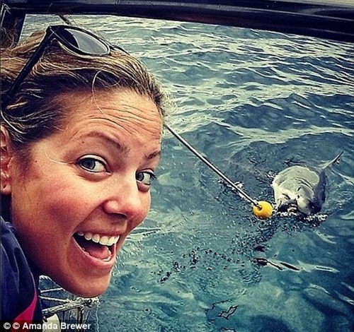 Trải nghiệm cảm giác kinh hoàng đối đầu "sát thủ đại dương" - 2 Trải nghiệm cảm giác kinh hoàng đối đầu sát thủ đại dương