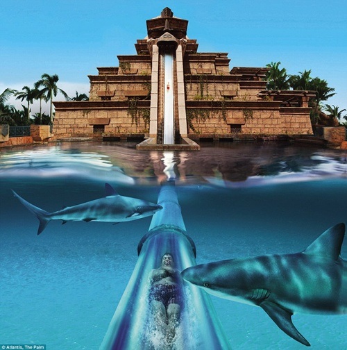 Trải nghiệm cảm giác kinh hoàng đối đầu "sát thủ đại dương" - 4 Trượt tự do trong đường ống trong suốt sẽ là trải nghiệm khó quên