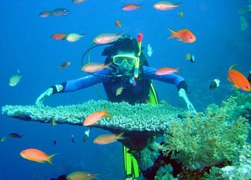 Những môn thể thao mạo hiểm đáng thử dịp hè - 4 Trải nghiệm chèo thuyền kayak ở Vịnh Hạ Long.