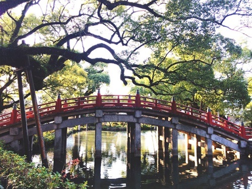 Những khu vườn bí mật đẹp như chốn thiên đàng - 6 Vườn Giardino di Ninfa mang nét hoài cổ, u buồn ở Italy