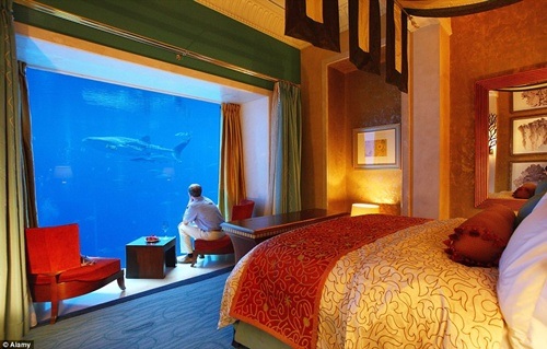 Trải nghiệm cảm giác kinh hoàng đối đầu "sát thủ đại dương" - 7 Trượt tự do trong đường ống trong suốt sẽ là trải nghiệm khó quên